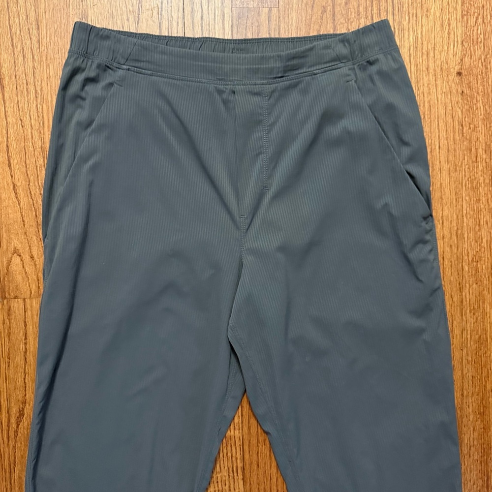 Lululemon Surge Joggers in gray stripes size M - Picture 2 of 16